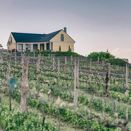 Vila Georgina Badacsonytomaj