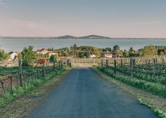 Georgina * バダチョニトマイ