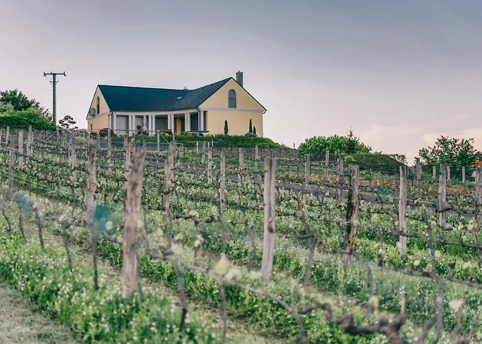 ヴィラ Georgina バダチョニトマイ